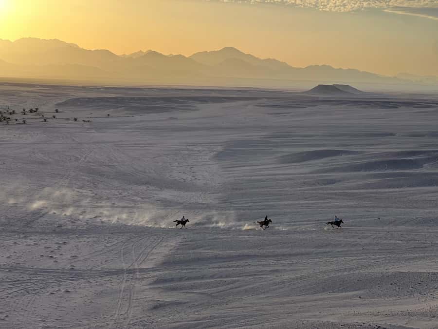 Hurghada: Horse Ride, BBQ Dinner, and Stargazing - A sensible start for first-time riders
