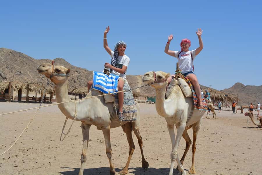 Hurghada: Jeep Safari with Camel Ride, Dinner and Show - Dinner with a broad buffet selection