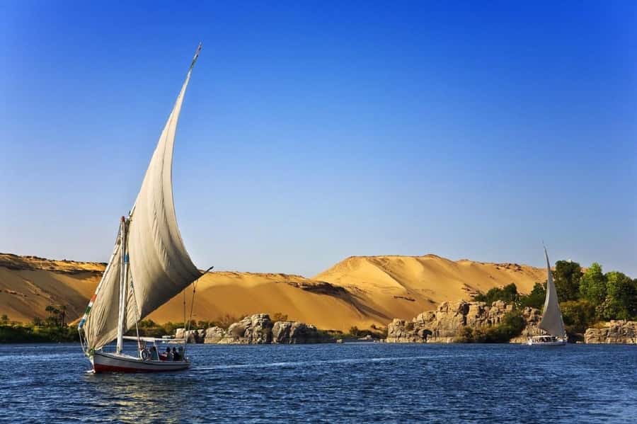 Hurghada: Luxor Highlights & King Tut Tomb Tour with Lunch - The Colossi of Memnon: a quick final stop
