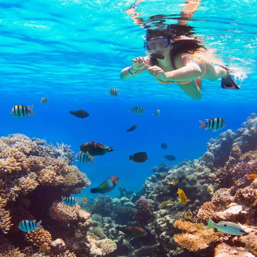 Hurghada: Luxury Giftun island w/snorkeling/lunch & Massage - Lunch that keeps the day moving