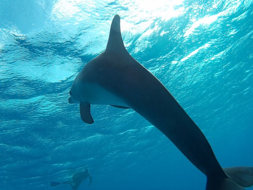 Hurghada: Luxury Orange Bay w/Snorkeling, Massage and Diving - The introductory scuba session at Small Giftun