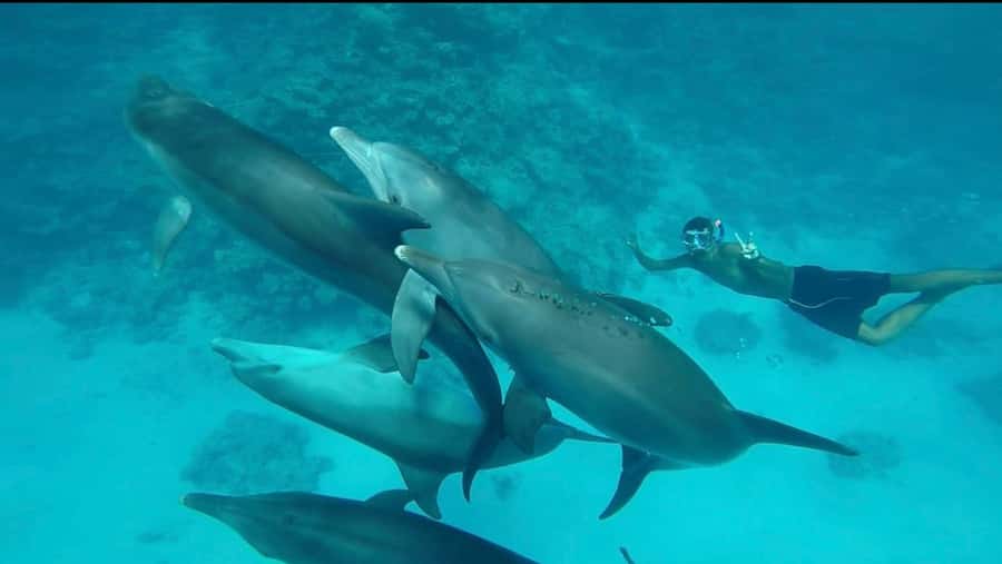 Hurghada: Luxury Yacht Trip with Personal Crew and Chef - Lunch Prepared by Your Own Chef