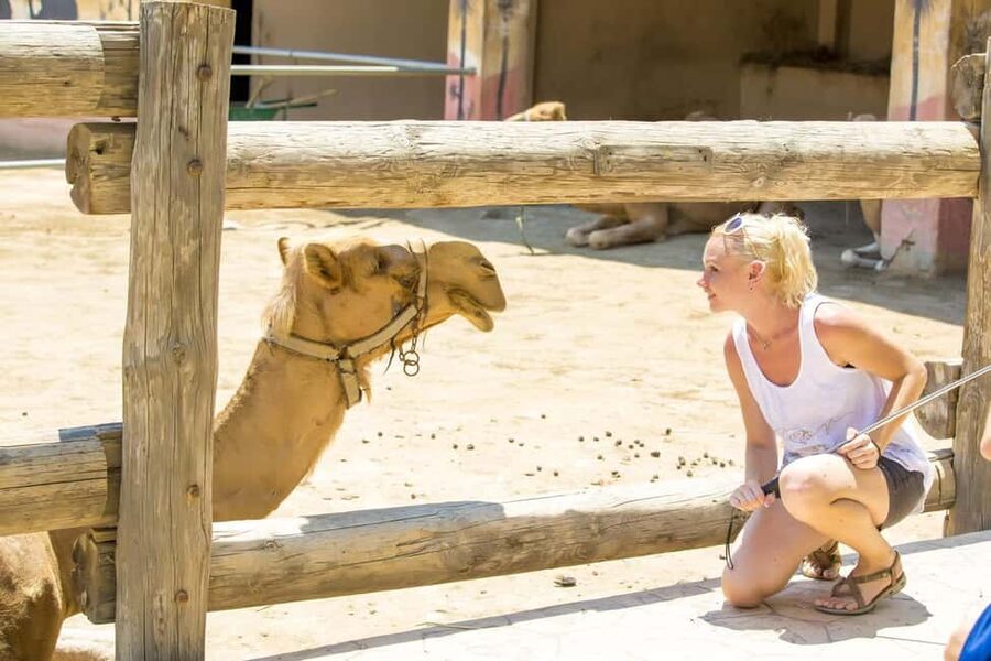 Hurghada: Mega Jeep safari, ATV & Bedouin vibe, and Dinner - The camel ride offers a slower desert view