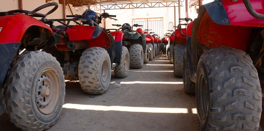 Hurghada: Morning Quad Bike Tour, Camel Ride and Transfer - What the $12 price really buys