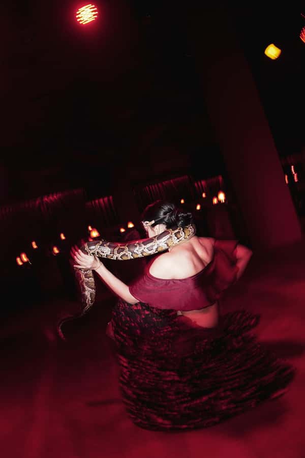 Hurghada: Naz Cabaret ticket with beverages - The music, singer, and stage mood