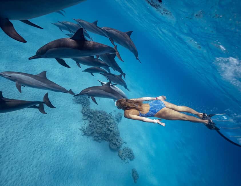 Hurghada or Makadi: Discover the Magic of Dolphin House - A sofa ride and time on deck