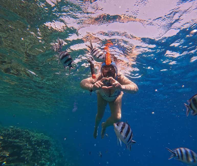 Hurghada or Makadi: Discover the Magic of Dolphin House - Crew support makes a difference