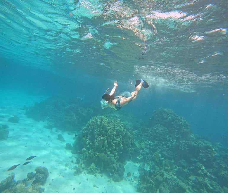 Hurghada or Makadi: Discover the Magic of Dolphin House - Timing, packing, and practical details