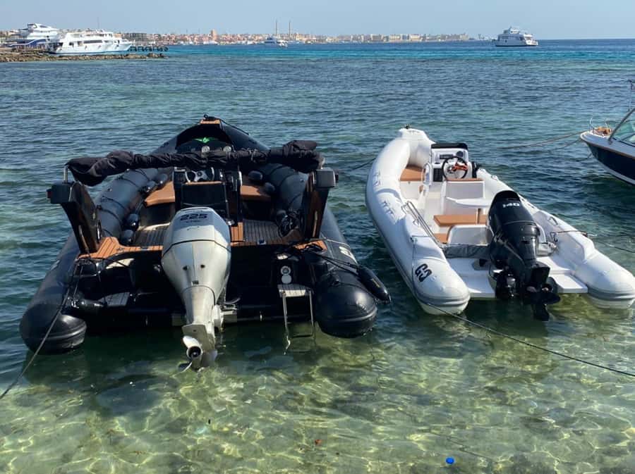Hurghada: Orange Bay Dolphin Watching, Snorkeling & Lunch - Who will get the most from this outing