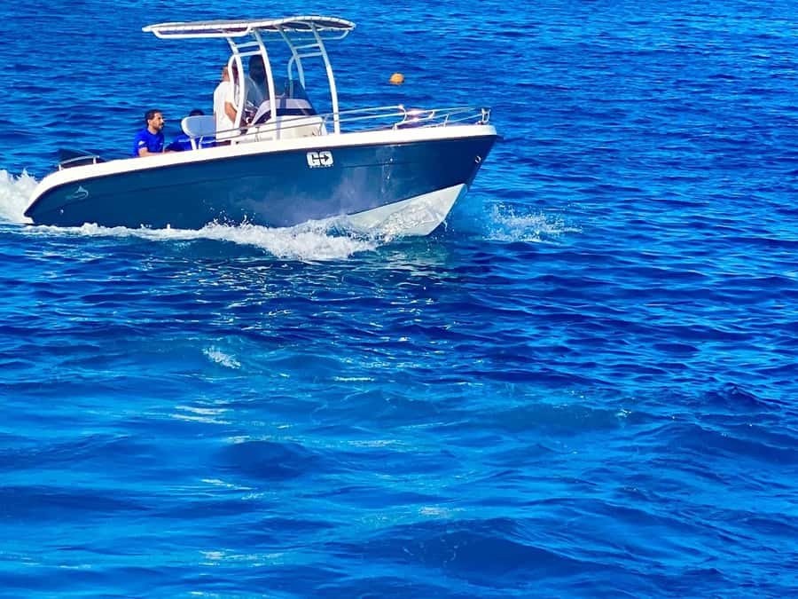 Hurghada: Orange Bay Dolphin Watching, Snorkeling & Lunch - Practical packing and timing advice