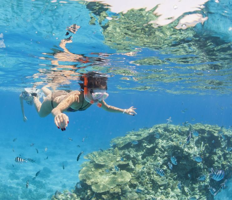 Hurghada: Orange Bay & Giftun Island, Snorkeling With Lunch - Lunch, drinks, and the real value of $26
