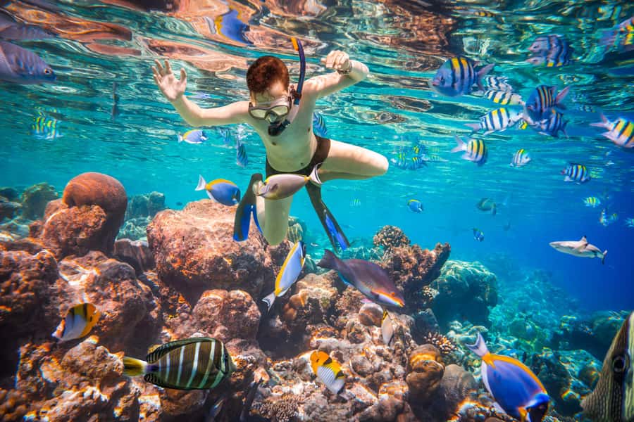 Hurghada: Orange Bay Island Boat Trip w/ Breakfast and Lunch - Who should book this cruise?