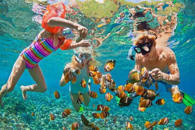 Hurghada Paradise Conquest Semi Submarine Snorkeling Trip - Key points before you book