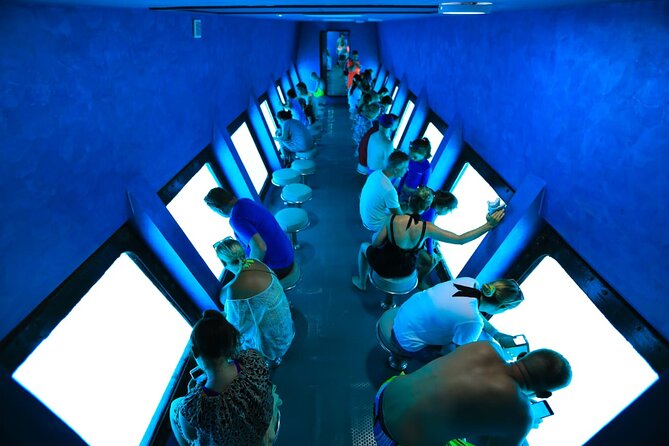 Hurghada Paradise Conquest Semi Submarine Snorkeling Trip - The semi-submarine cabin and underwater windows