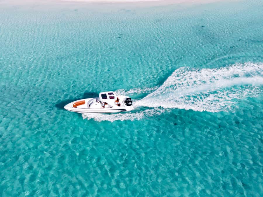 Hurghada: Paradise Speedboat w/ Optional Snorkeling & Lunch - Snorkeling above coral and fish
