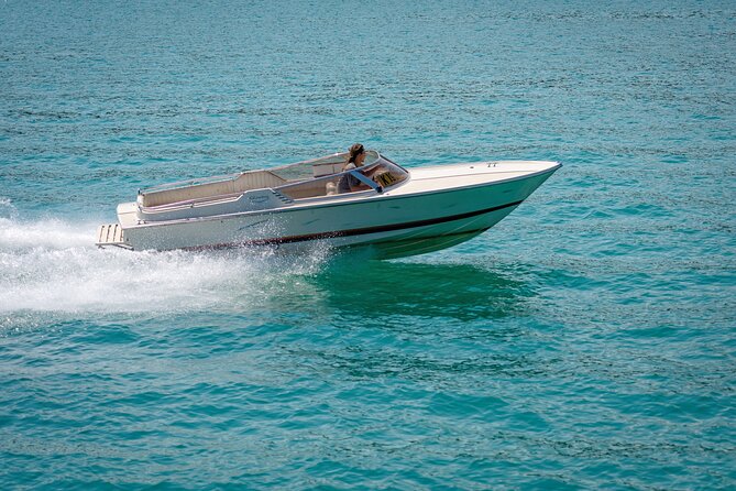 Hurghada: Private 4 Hours Speedboat Dolphin House Snorkling Tour - Key points to know before you book