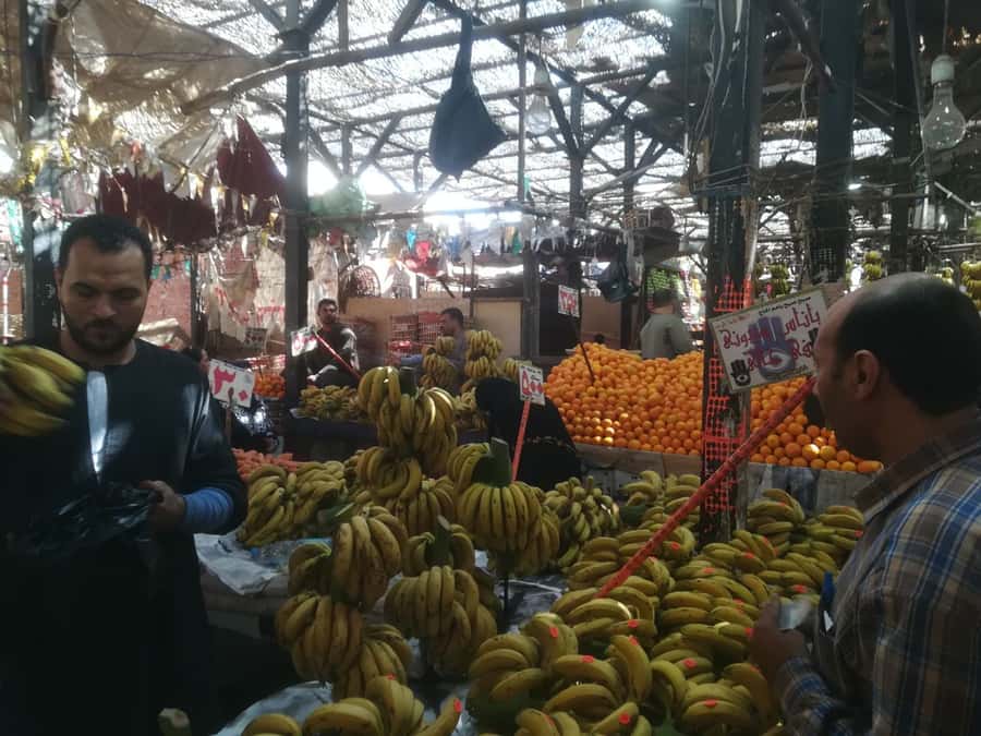 Hurghada: Private Guide City Tour & Shopping Stop - Key points at a glance