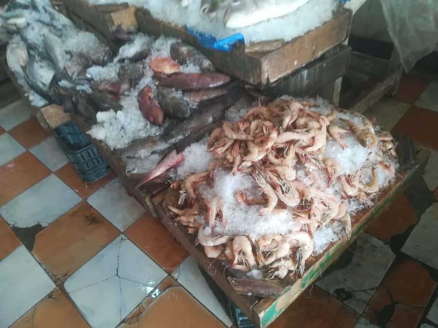Hurghada: Private Guide City Tour & Shopping Stop - The fishing village and fish market