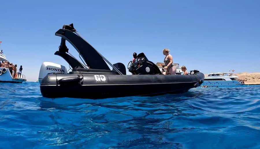 Hurghada: Private Speedboat to Dolphin House with Pickup - Who will get the most from this outing