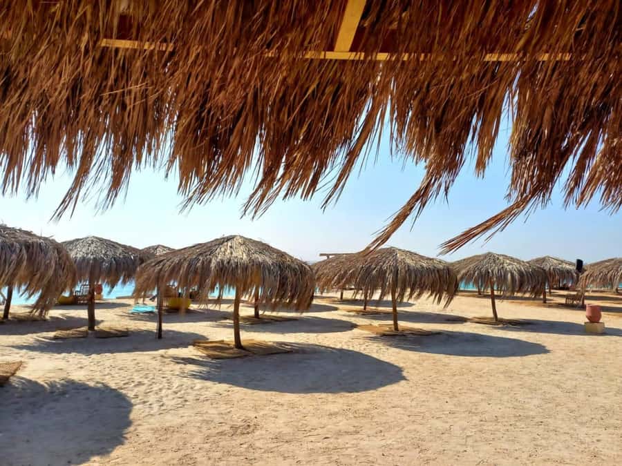 Hurghada: Private Speedboat to Magawish Island - Why Magawish works as a Red Sea escape