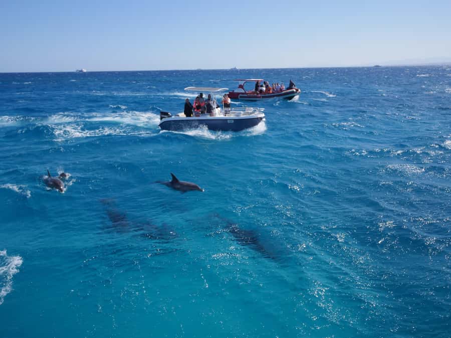 Hurghada: Private Speedboat to Orange Bay and White Island - Two Red Sea snorkel stops
