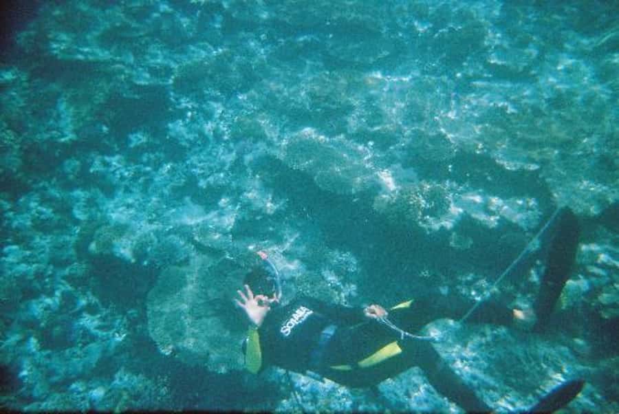 Hurghada, Professionals Diving in Open Water Tour with Lunch - Leaving Hurghada after a 40-minute cruise