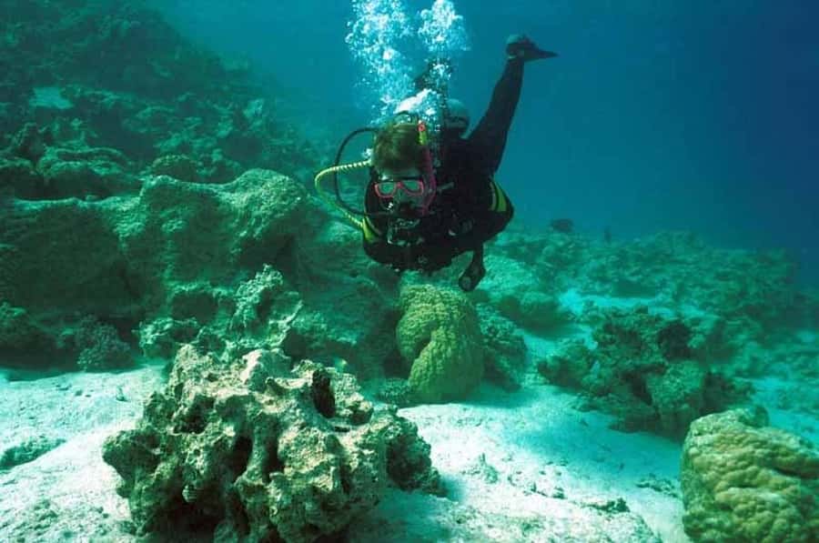 Hurghada, Professionals Diving in Open Water Tour with Lunch - Lunch and refreshments on the boat