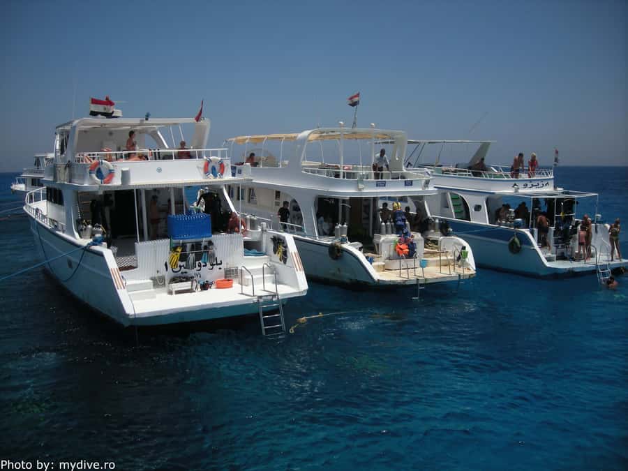 Hurghada, Professionals Diving in Open Water Tour with Lunch - Transport, group size, and the day’s pace