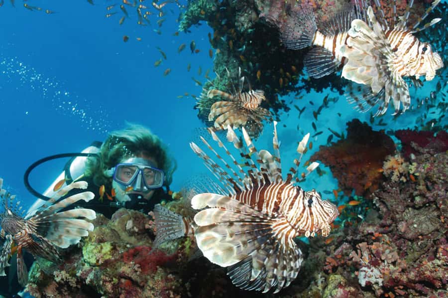 Hurghada, Professionals Diving in Open Water Tour with Lunch - What to bring and what to confirm