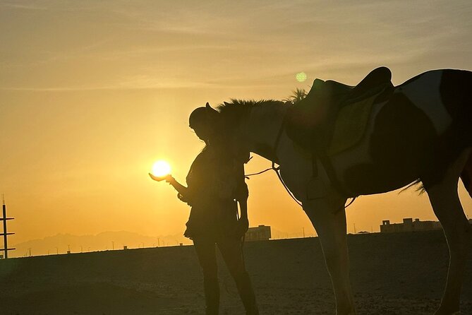 Hurghada: Red Sea & Desert Horse Riding Tour with Swimming - Meeting your horse and learning the basics