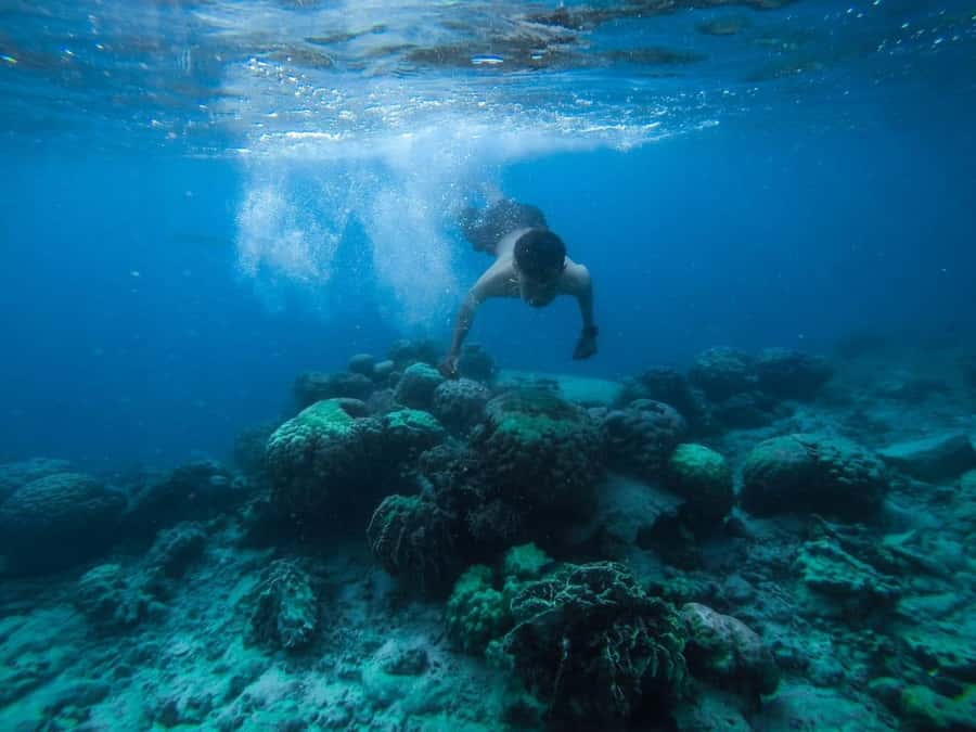 Hurghada: Royal Orange Bay with Massage, Snorkeling & Lunch - Key points to know before booking