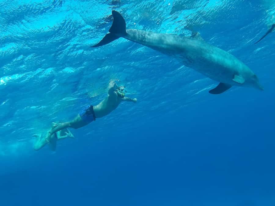 Hurghada: Royal Orange Bay with Massage, Snorkeling & Lunch - Second snorkeling stop at Jazīrat Abū Rimāthī