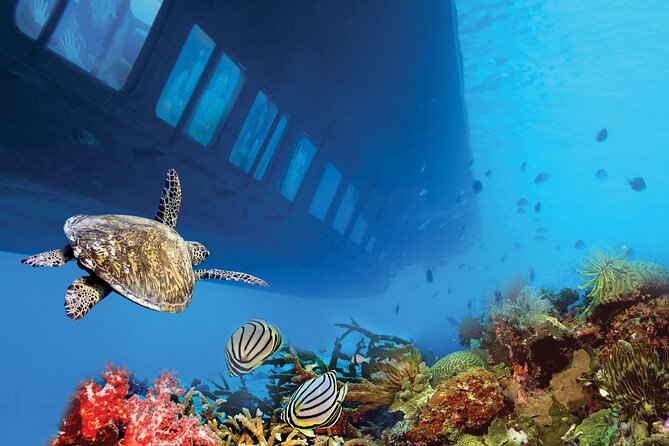 Hurghada: Royal Seascope Submarine Cruise with Snorkel Stop - Is the reef viewing good value at $21?