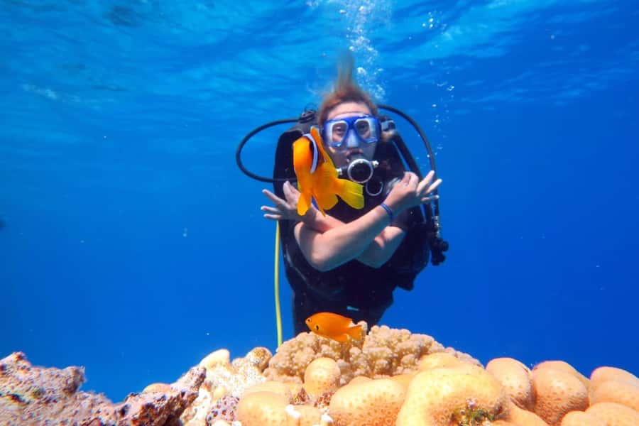 Hurghada: Scuba Diving cruise with lunch & pickup - What the six-hour Hurghada trip is really like