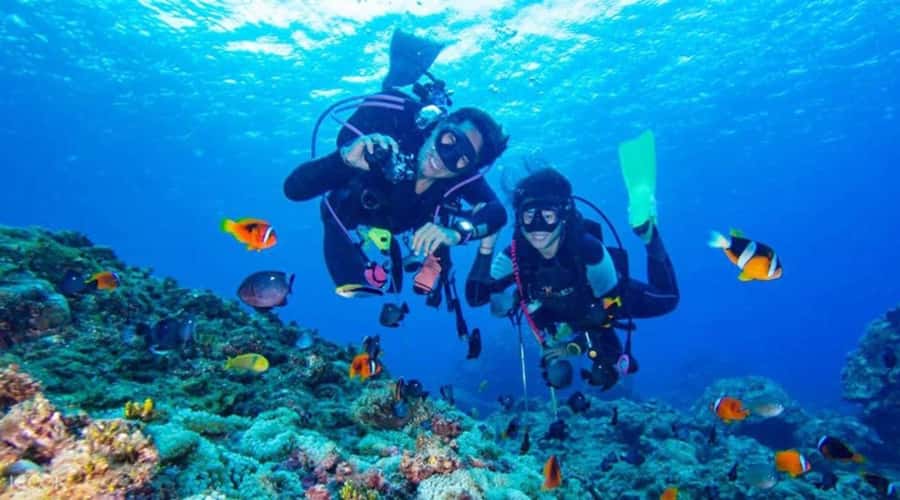 Hurghada: Scuba Diving cruise with lunch & pickup - Choosing between beginner and professional sessions