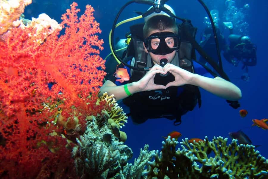 Hurghada: Scuba Diving cruise with lunch & pickup - Hotel pickup and the trip to the marina