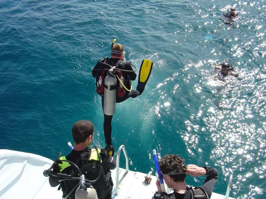 Hurghada: Scuba Diving for Beginners & Certified Divers - Coral, fish, and surface snorkeling