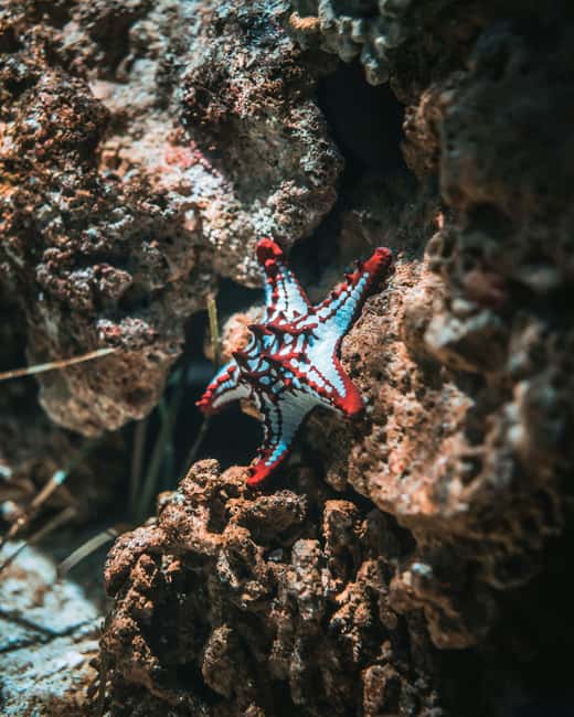 Hurghada: Scuba Diving for Beginners & Certified Divers - What to pack for a more comfortable day