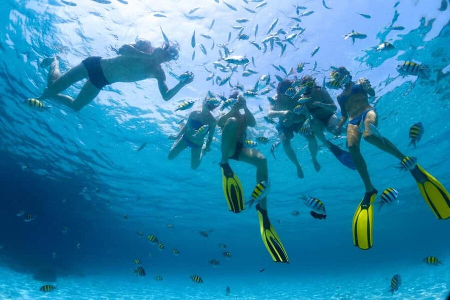 Hurghada: Scuba Diving for Beginners & Certified Divers - Hotel pickup, port transfer, and the early start