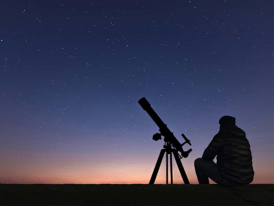 Hurghada: Sea & Desert Camel Ride w/Dinner, Show, Stargazing - Key points to know before you book
