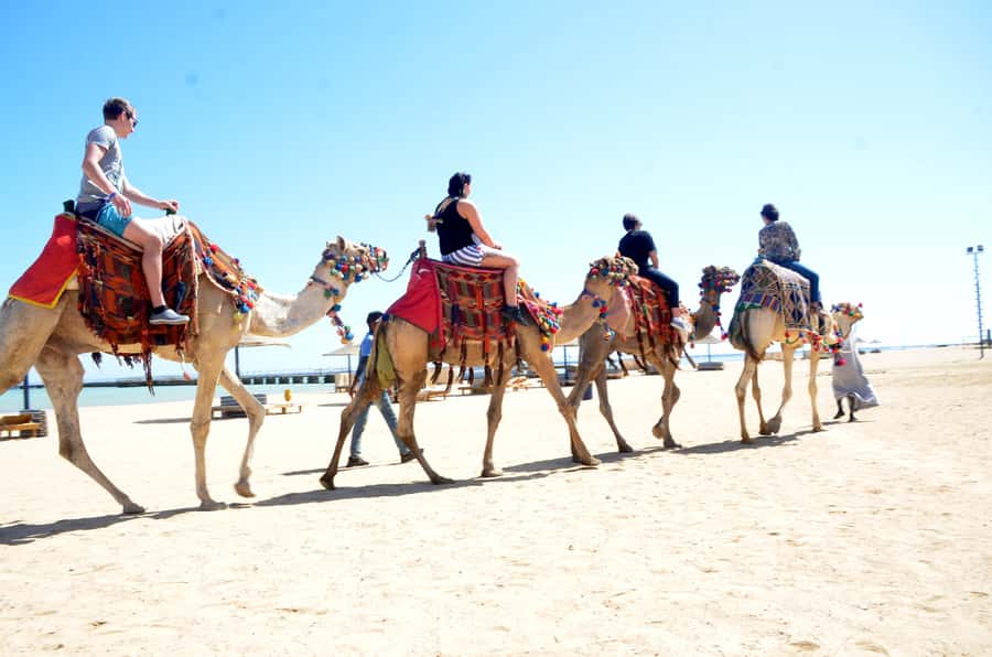 Hurghada: Sea & Desert Camel Ride w/Dinner, Show, Stargazing - Comfort, safety, and what to pack
