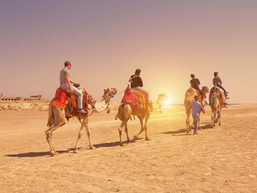 Hurghada: Sea & Desert Camel Ride w/Dinner, Show, Stargazing - A long camel ride beyond the Hurghada resorts