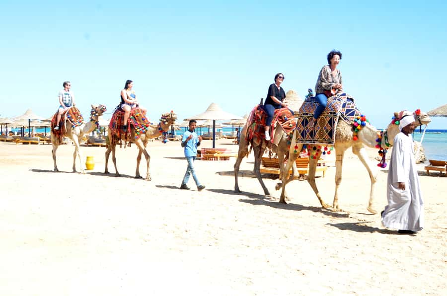 Hurghada: Sea & Desert Camel Ride w/Dinner, Show, Stargazing - Sunrise rides and the Oriental breakfast