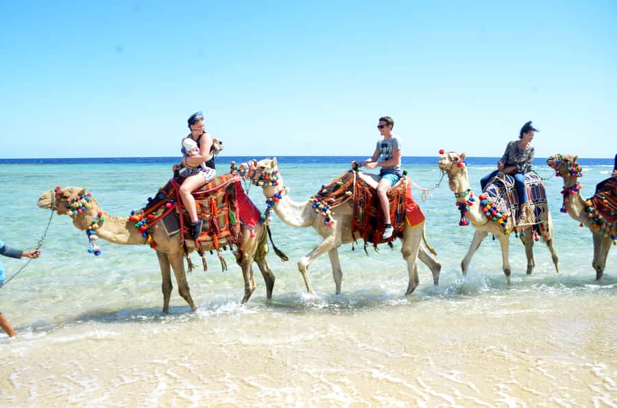 Hurghada: Sea & Desert Camel Ride w/Dinner, Show, Stargazing - Photos, guides, and the human side of the trip