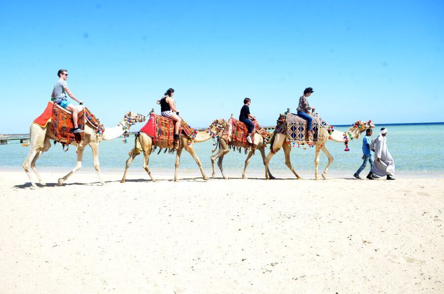 Hurghada: Sea & Desert Camel Ride w/Dinner, Show, Stargazing - How the $26 price works as a value