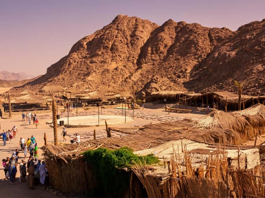 Hurghada: Sea & Desert Camel Ride w/Dinner, Show, Stargazing - Hotel pickup, arrival, and the short briefing