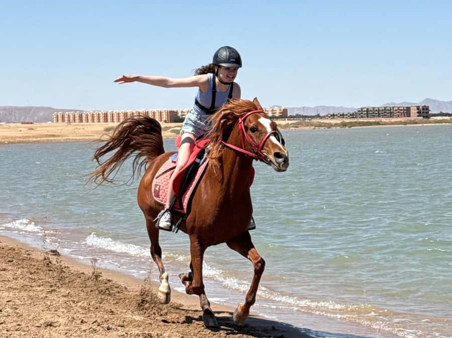 Hurghada: Sea & Desert Horse Riding tour/w Swimming&Transfer - Starting at Lucky Horses Stable in Hurghada