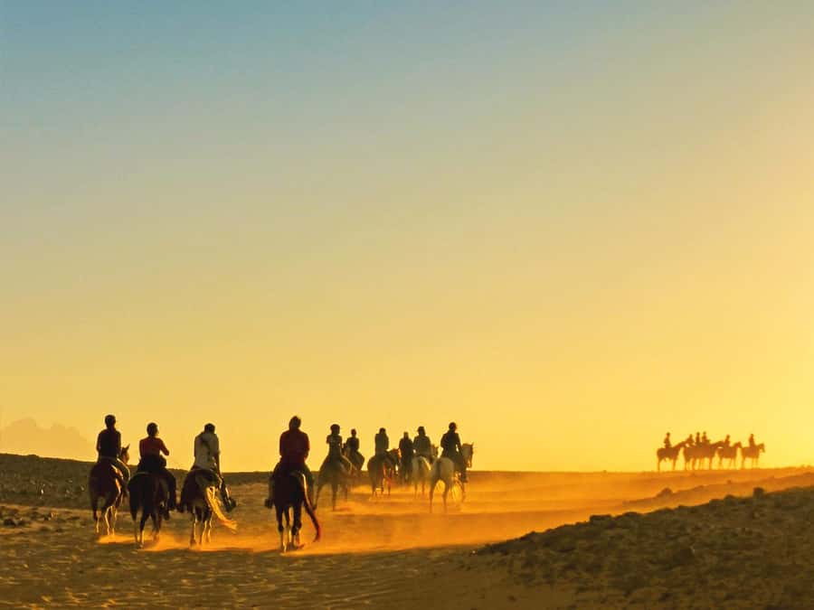 Hurghada: Sea & Desert Horse Tour, Stargazing, Dinner & Show - Key points to know before booking