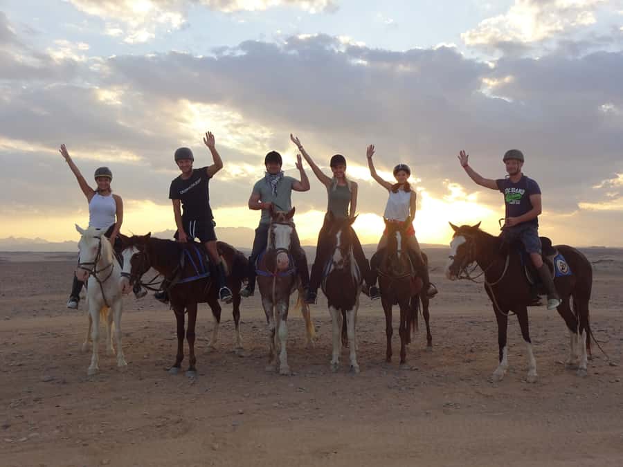 Hurghada: Sea & Desert Horse Tour, Stargazing, Dinner & Show - From Hurghada’s hotels to the riding base