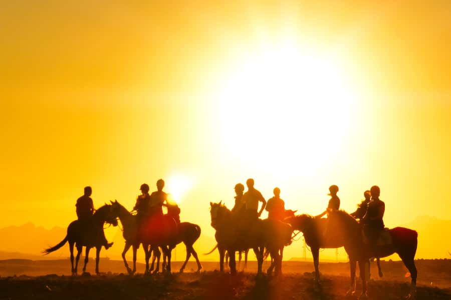 Hurghada: Sea & Desert Horse Tour, Stargazing, Dinner & Show - Sunrise at 5:00 AM with breakfast